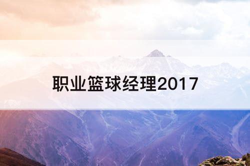 职业篮球经理2017