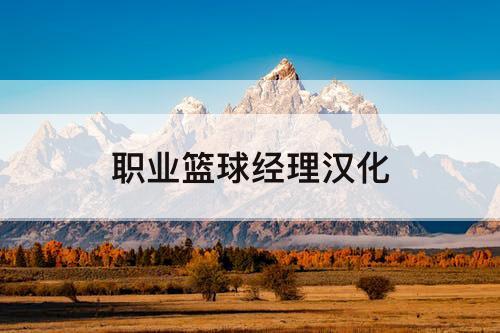 职业篮球经理汉化