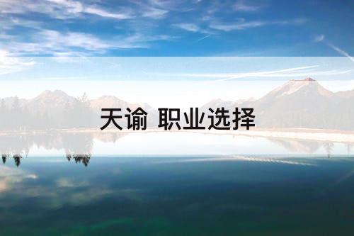 天谕 职业选择