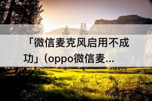 「微信麦克风启用不成功」(oppo微信麦克风启用不成功)