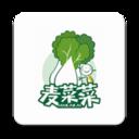 麦菜菜