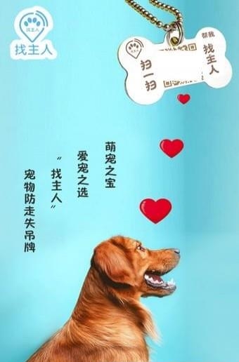 找主人