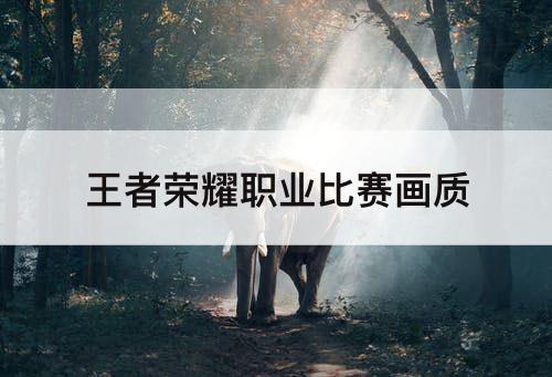 王者荣耀职业比赛画质