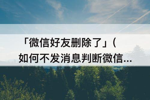「微信好友删除了」(如何不发消息判断微信好友删除了自己)