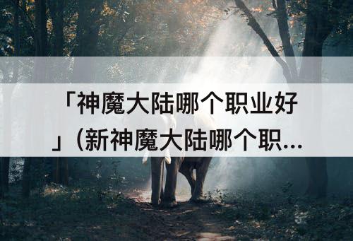 「神魔大陆哪个职业好」(新神魔大陆哪个职业好玩)