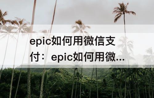 epic如何用微信支付：epic如何用微信支付宝