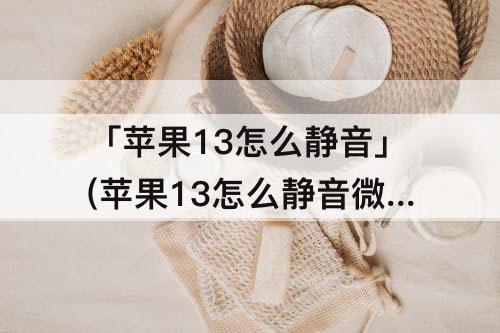 「苹果13怎么静音」(苹果13怎么静音微信还有声音)
