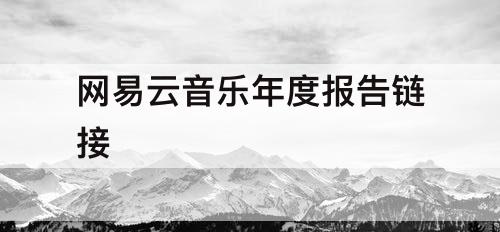 网易云音乐年度报告链接