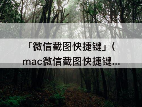「微信截图快捷键」(mac微信截图快捷键失效)