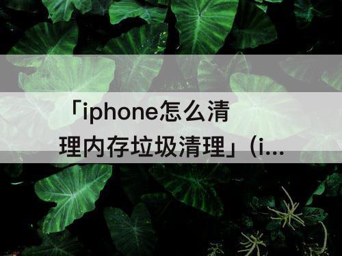 「iphone怎么清理内存垃圾清理」(iphone怎么清理内存垃圾清理微信)