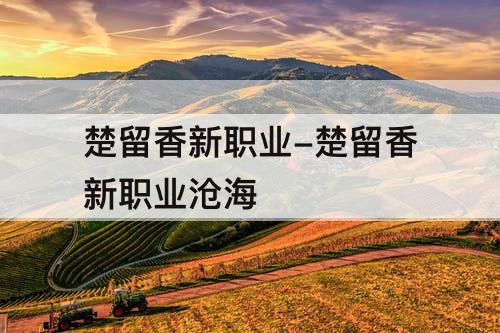 楚留香新职业-楚留香新职业沧海