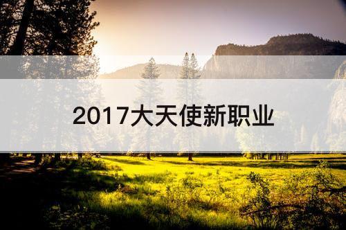 2017大天使新职业