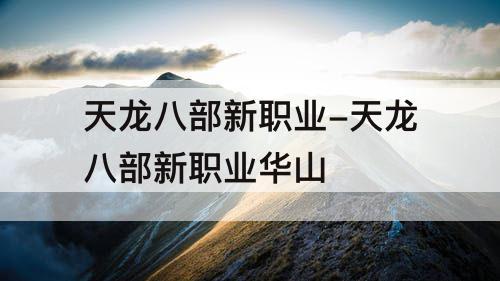 天龙八部新职业-天龙八部新职业华山