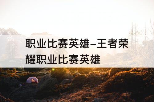 职业比赛英雄-王者荣耀职业比赛英雄