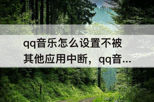 qq音乐怎么设置不被其他应用中断，qq音乐怎么设置不被其他应用中断播放苹果