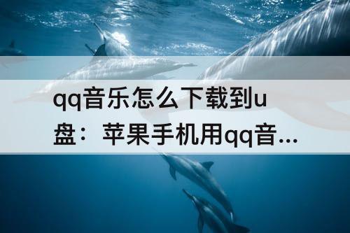 qq音乐怎么下载到u盘：苹果手机用qq音乐怎么下载到u盘