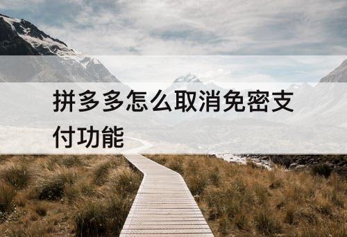 拼多多怎么取消免密支付功能