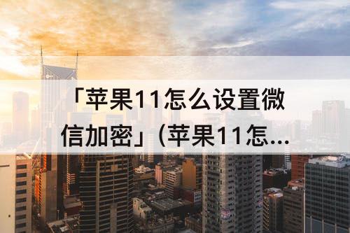 「苹果11怎么设置微信加密」(苹果11怎么设置微信加密?)