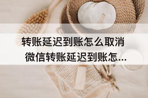 转账延迟到账怎么取消 微信转账延迟到账怎么取消