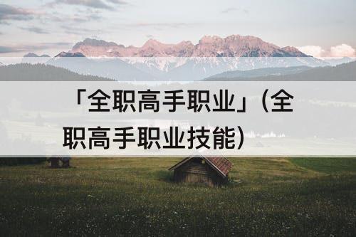 「全职高手职业」(全职高手职业技能)