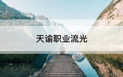 天谕职业流光