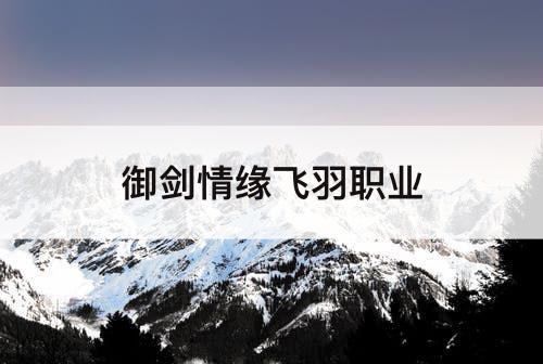 御剑情缘飞羽职业