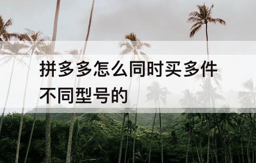 拼多多怎么同时买多件不同型号的