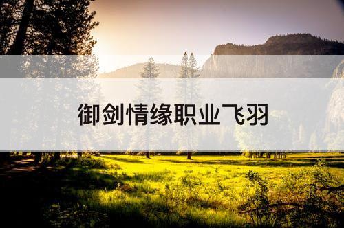 御剑情缘职业飞羽