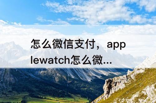 怎么微信支付,applewatch怎么微信支付