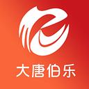大唐伯乐老师