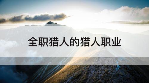 全职猎人的猎人职业