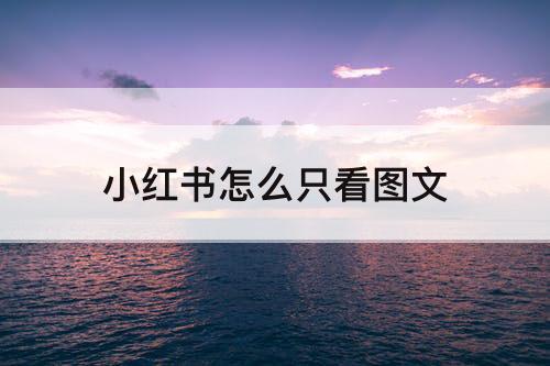 小红书怎么只看图文