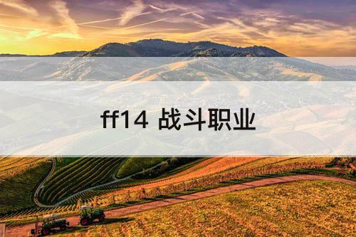 ff14 战斗职业