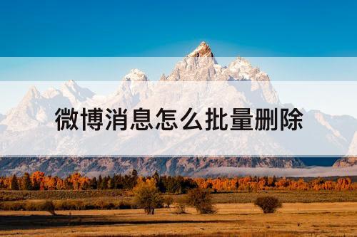 微博消息怎么批量删除