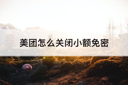 美团怎么关闭小额免密