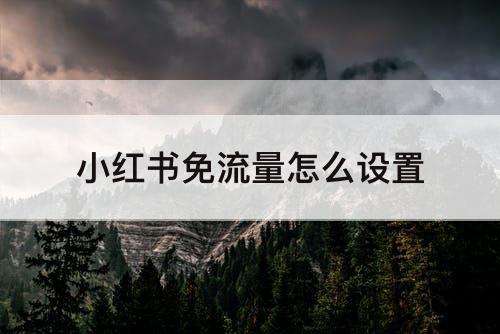 小红书免流量怎么设置