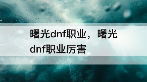 曙光dnf职业,曙光dnf职业厉害