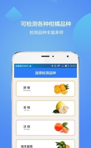 柑橘加