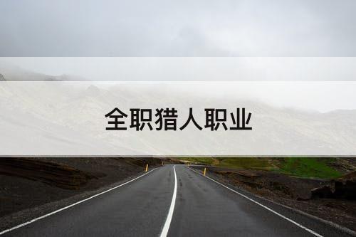全职猎人职业