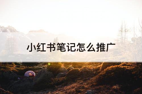 小红书笔记怎么推广