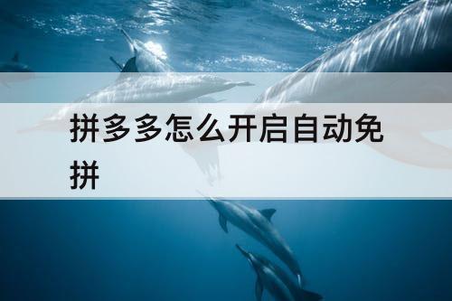 拼多多怎么开启自动免拼