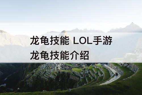 龙龟技能 LOL手游龙龟技能介绍