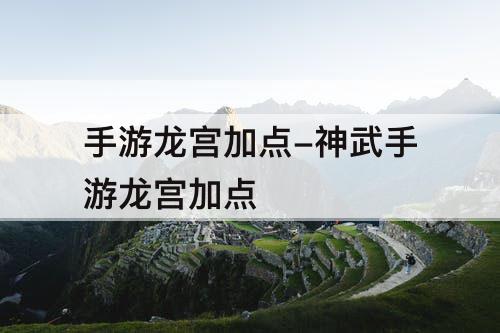 手游龙宫加点-神武手游龙宫加点