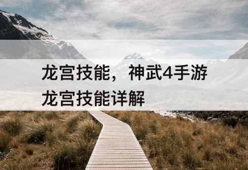 龙宫技能，神武4手游龙宫技能详解