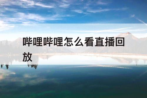 哔哩哔哩怎么看直播回放