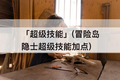 「超级技能」(冒险岛隐士超级技能加点)