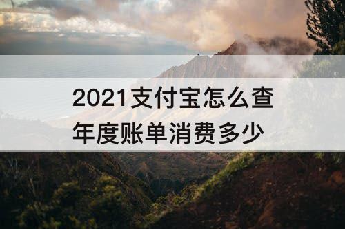2021支付宝怎么查年度账单消费多少