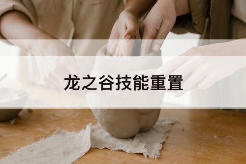 龙之谷技能重置