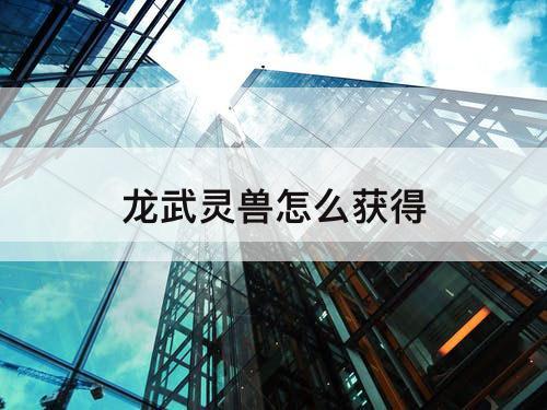 龙武灵兽怎么获得