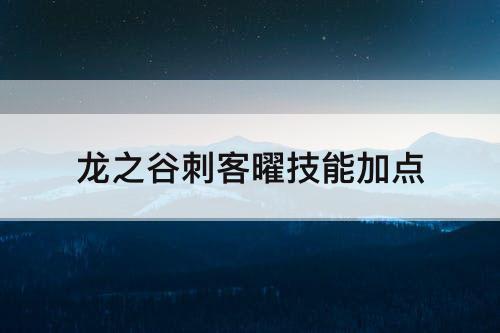 龙之谷刺客曜技能加点